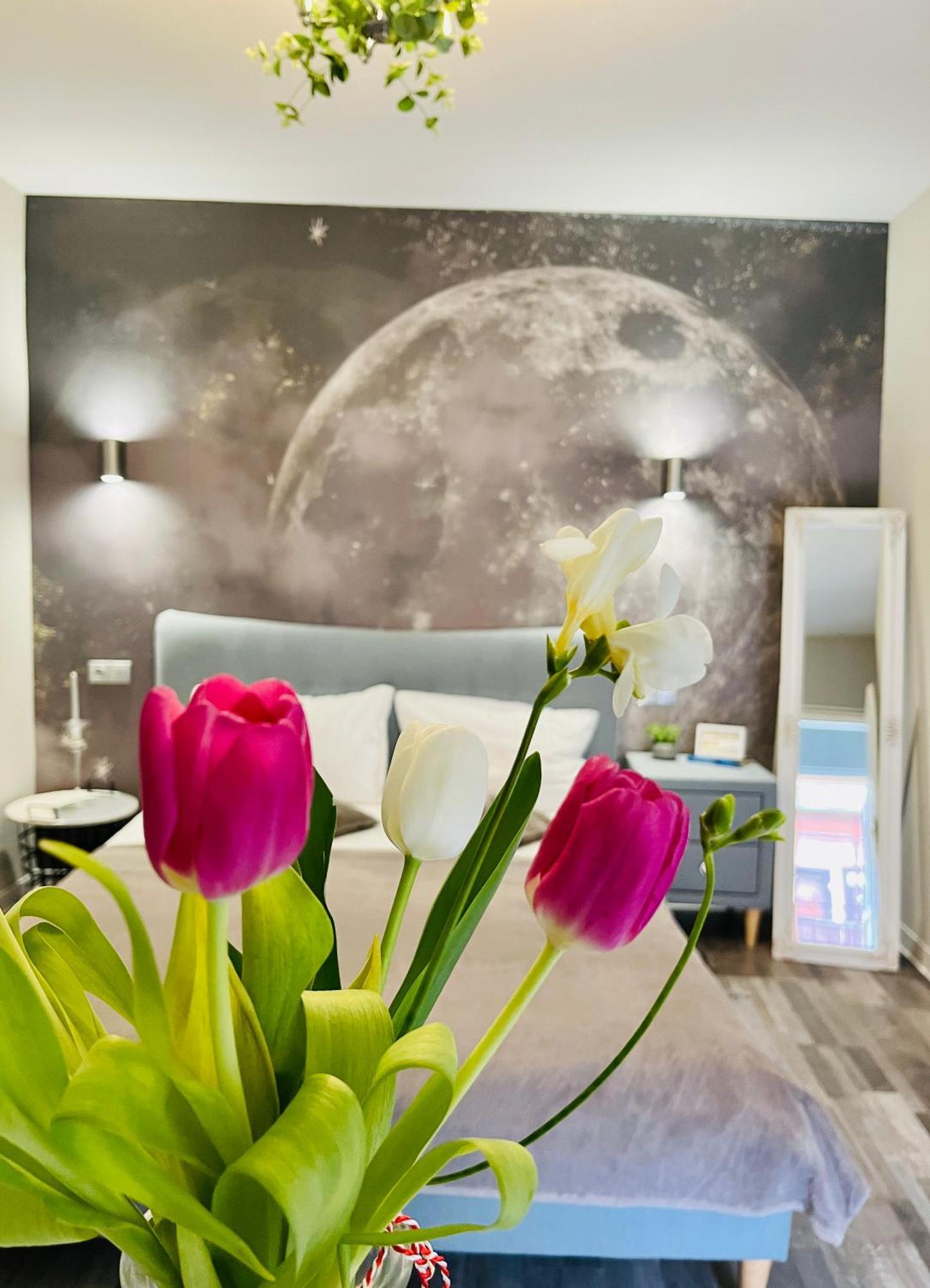 Moon And Sun Apartments Sibiu Exteriér fotografie